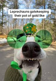 leprechaun meme meme image