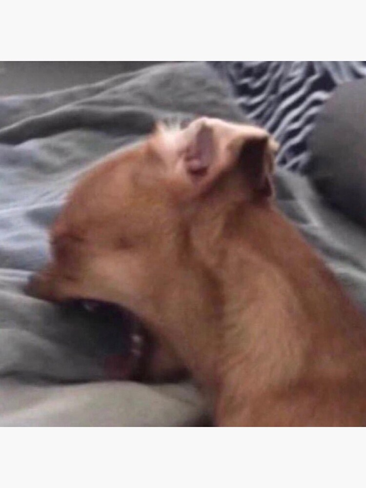 dog biting pillow meme meme image