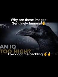 an iq too low meme meme image