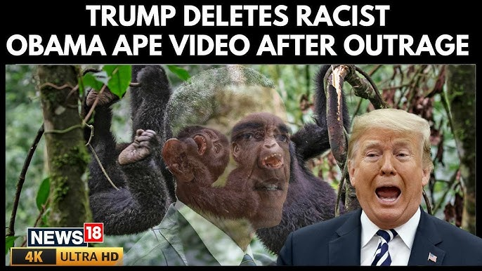 obama ape meme meme image