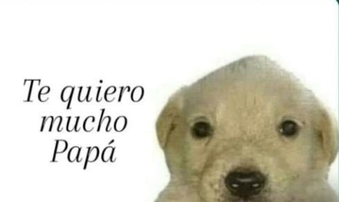 te quiero mucho papa meme meme image