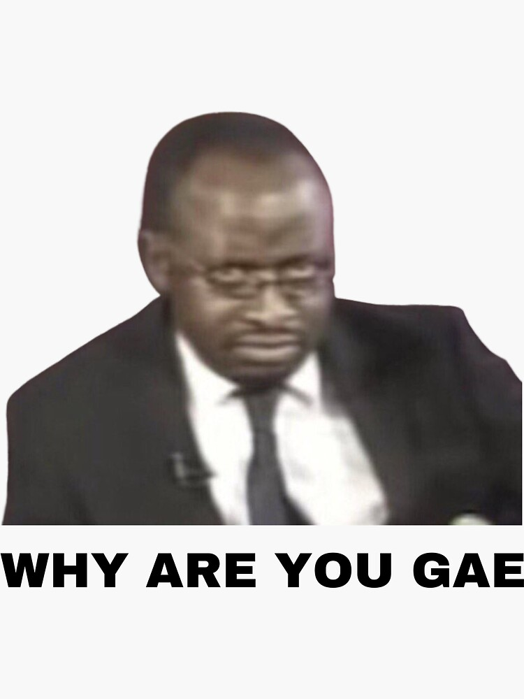 why are you gay meme meme image