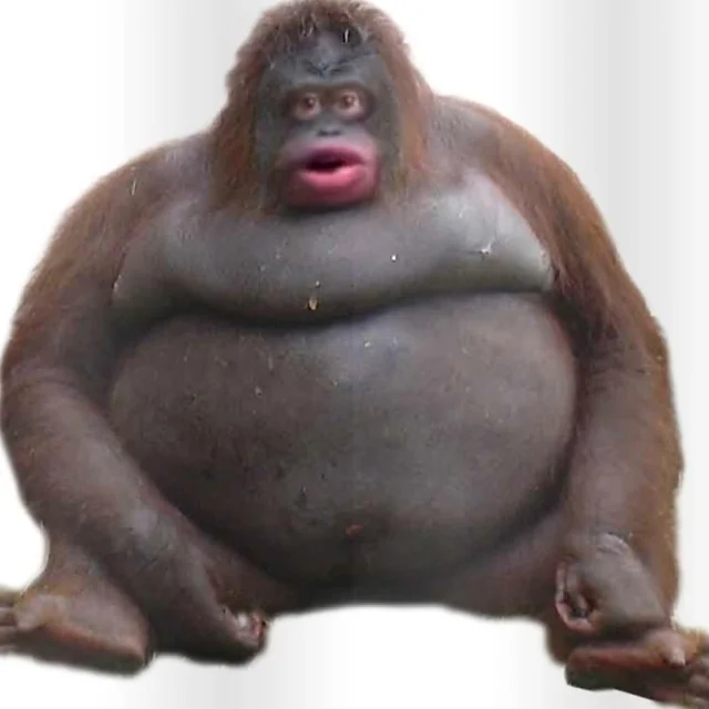 orangutan meme meme image