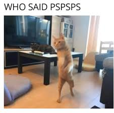 pspsps meme meme image