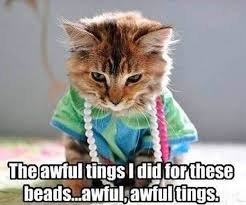 happy mardi gras meme meme image