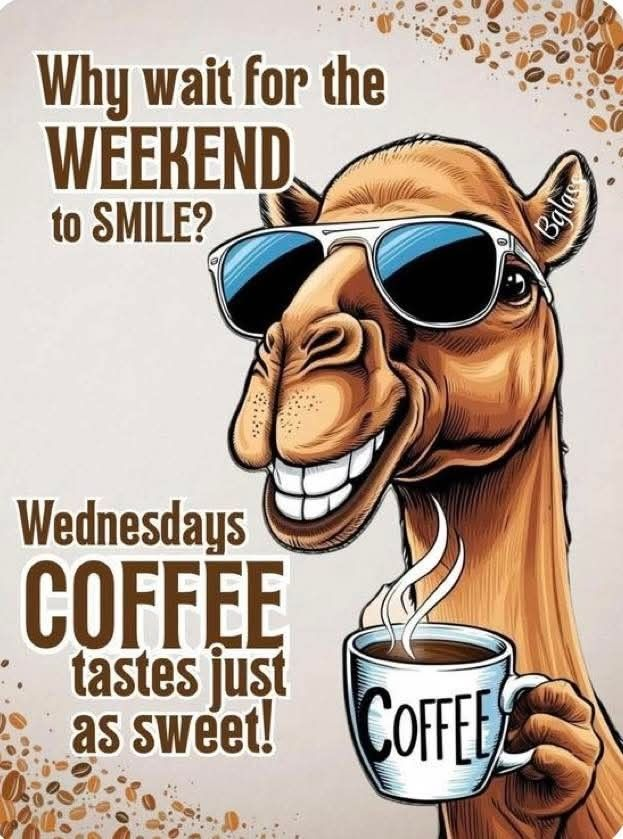 wednesday coffee meme meme image