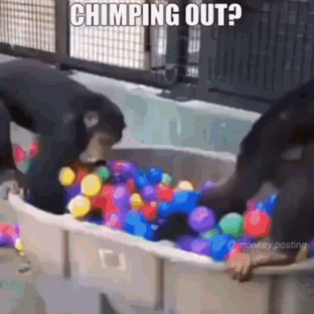 chimping out meme meme image