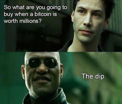 buy the dip meme meme image