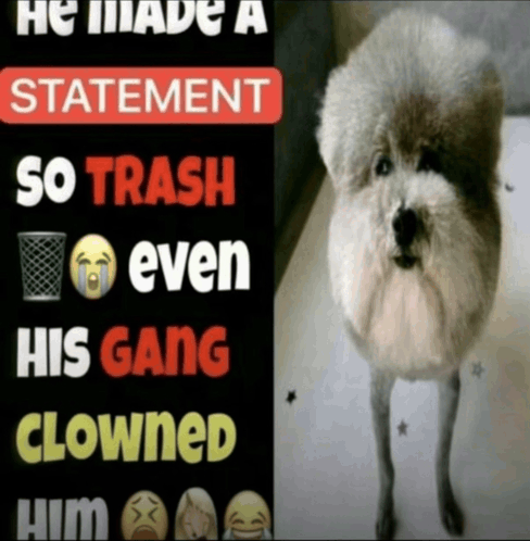 he made a statement so trash meme meme image