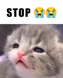 please stop meme meme image