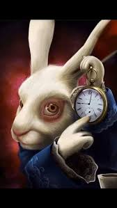 rabbit with clock meme meme image