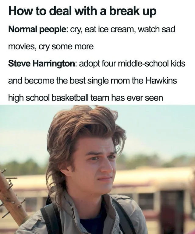steve harrington meme meme image