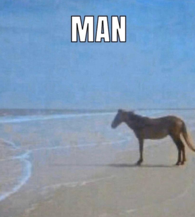 man horse meme meme image