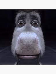 donkey staring meme meme image