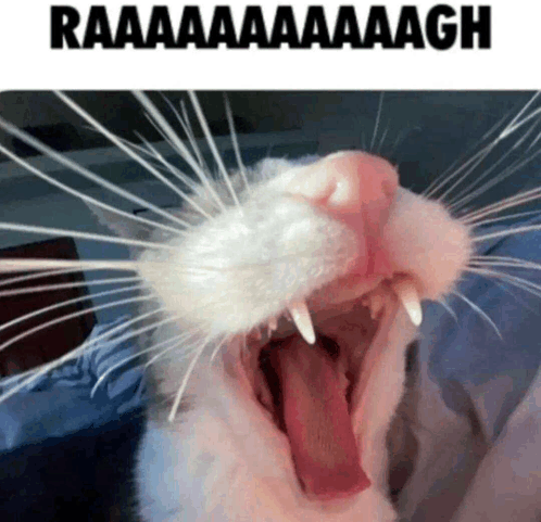 rahh meme meme image