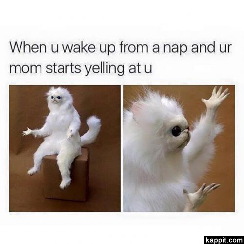 white monkey meme meme image