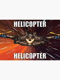 helicopter helicopter meme meme image