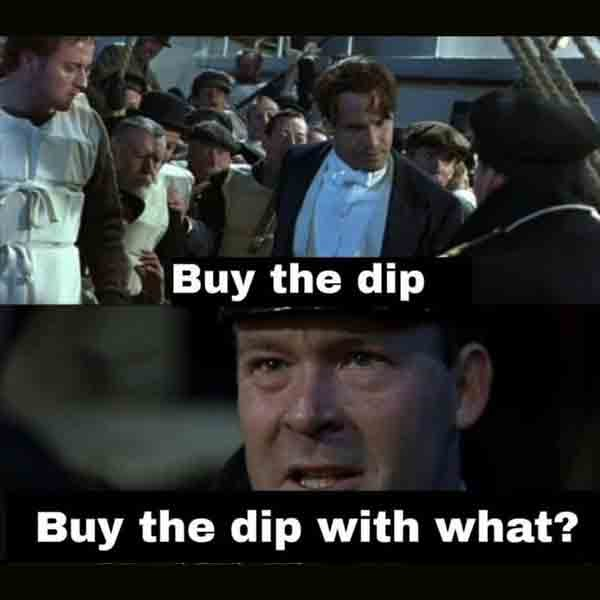 buy the dip meme meme image
