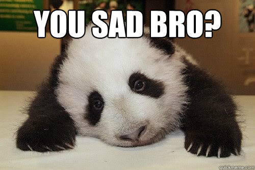 you sad bro meme meme image