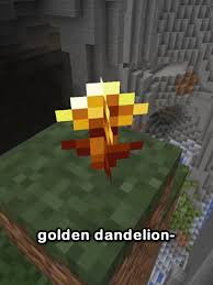 the golden dandelion meme meme image