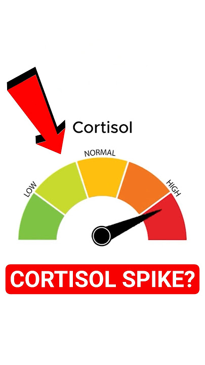 high cortisol meme meme image
