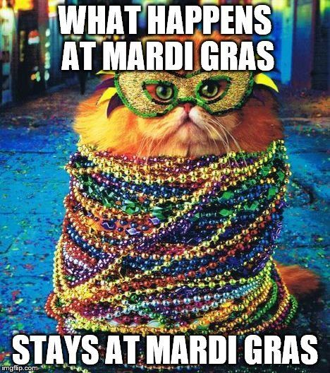 happy mardi gras meme meme image