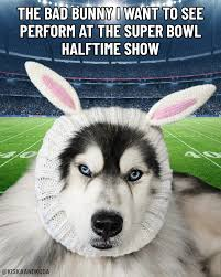 bad bunny super bowl meme meme image