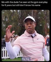 big dawg meme meme image