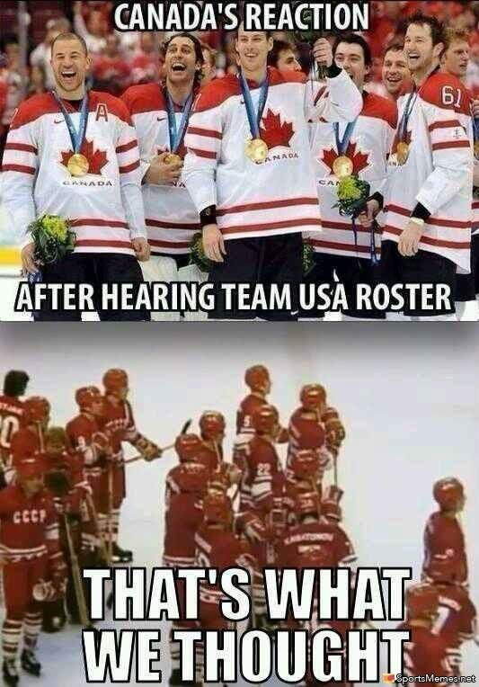 canada vs usa hockey meme meme image