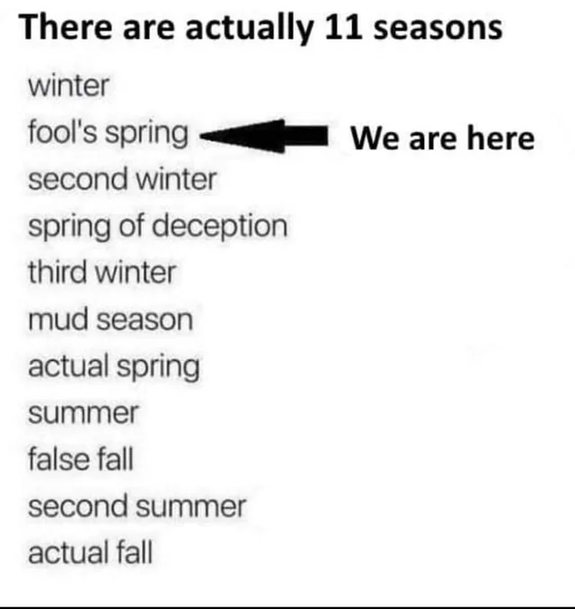 fake spring meme meme image
