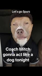 mitch johnson dog meme meme image