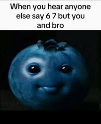 blueberry meme meme image