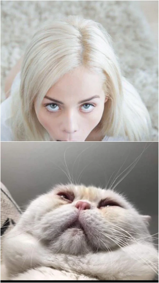 what did he see meme meme image