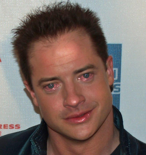 brendan fraser meme meme image