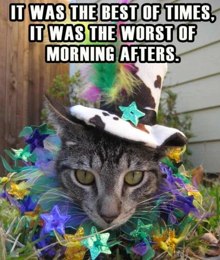 happy mardi gras meme meme image