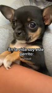 quiere llorar meme meme image