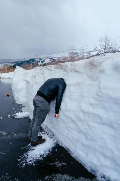 snow meme funny meme image