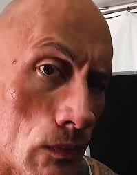 dwayne johnson meme meme image