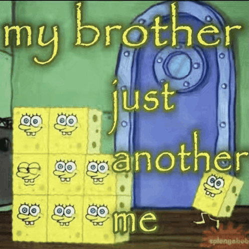 my brother just another me meme meme image