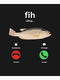fih meme meme image