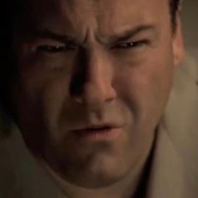 tony soprano meme meme image