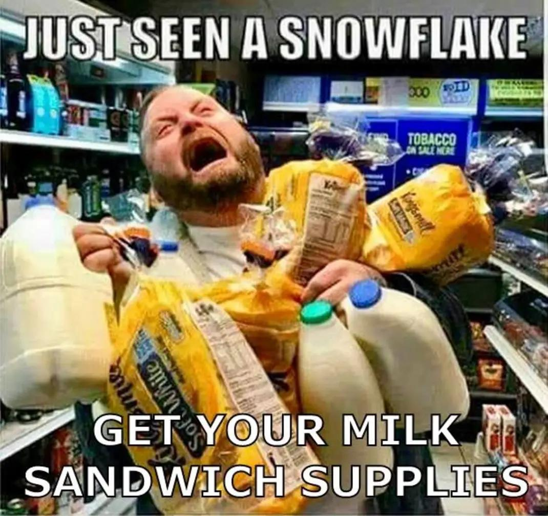 milk sandwich meme meme image