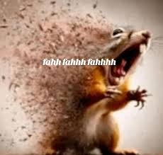 fahhh meme meme image