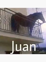 juan horse meme meme image