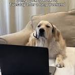 tuesday after long weekend meme meme image