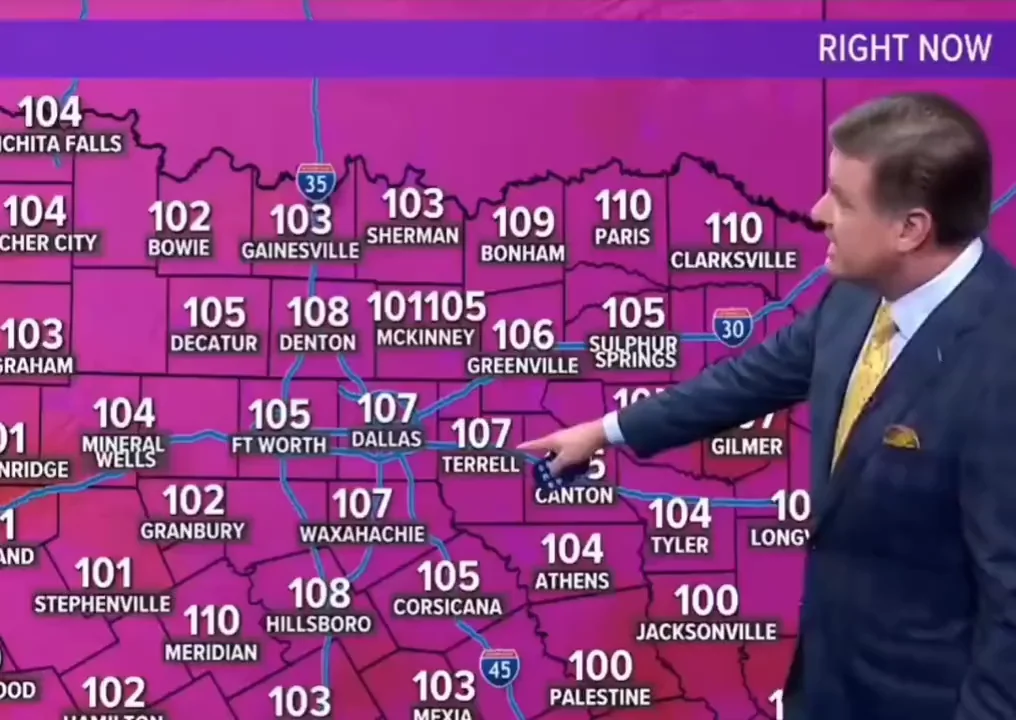 everyone in mckinney is dead meme meme image