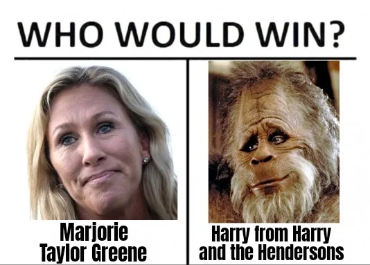 marjorie taylor greene meme meme image