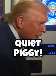 quiet piggy meme meme image