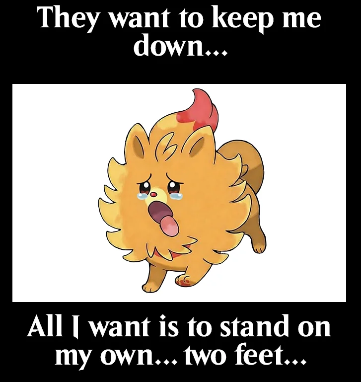 pombon meme meme image