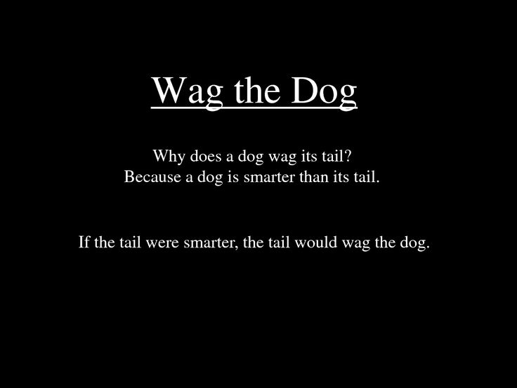 wag the dog meme meme image